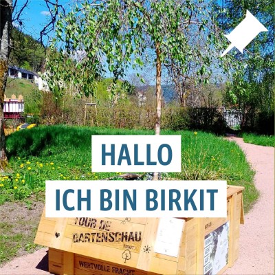 2025-05-19-16-29-24jpg